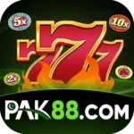 pak88