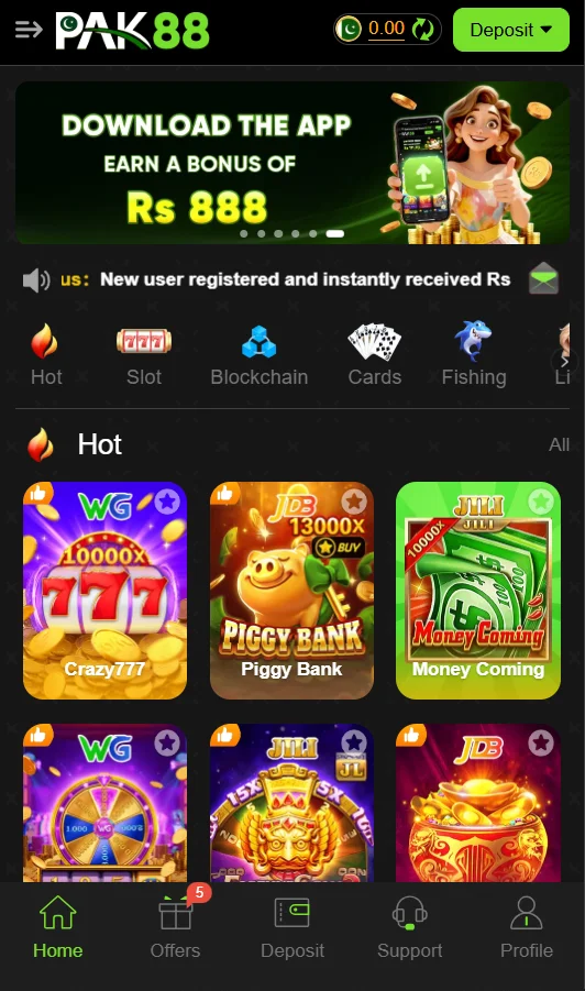 pak88 app interface